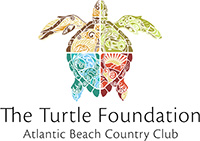 The ABCC Turtle Foundation